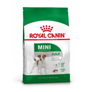 Royal Canin Mini Adult cibo secco per cani di piccola taglia, confezione da 2 kg.
