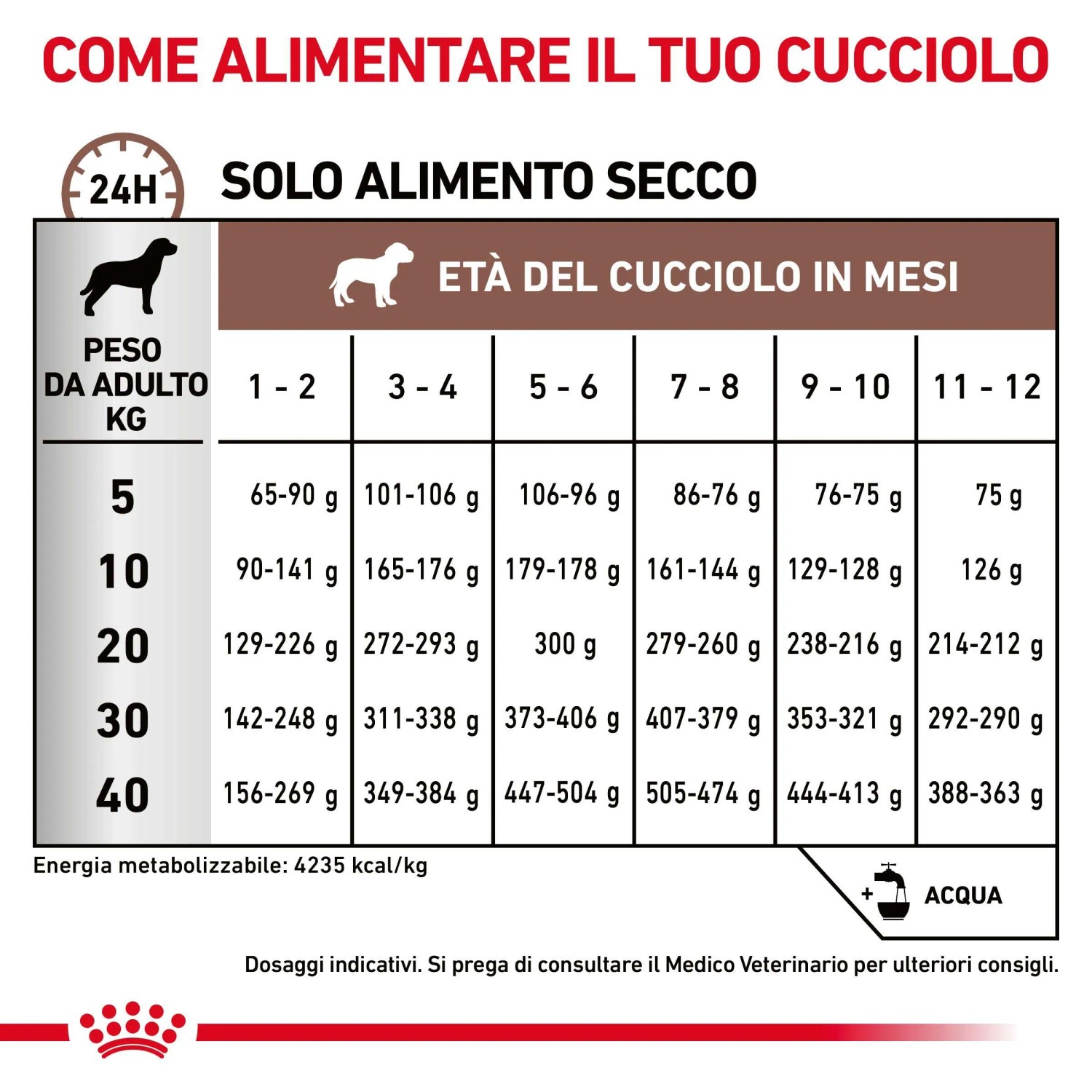Guida all'alimentazione per t.b.t. cibo secco per cani, tabella con quantità per età e peso.