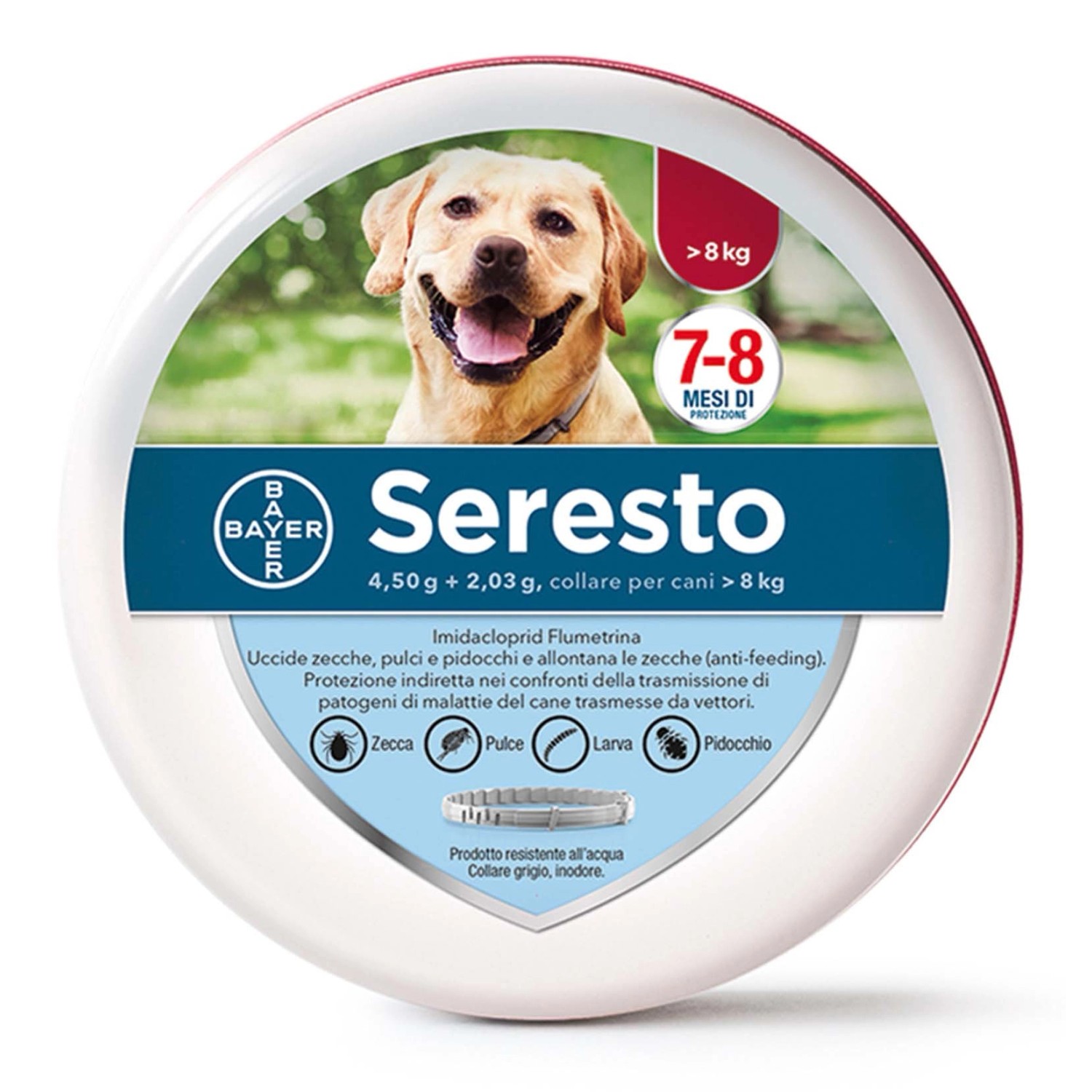 Collare Antipulci E Zecche Per Cani - Taglia Unica 63cm, Protezione 8 Mesi, Impermeabile