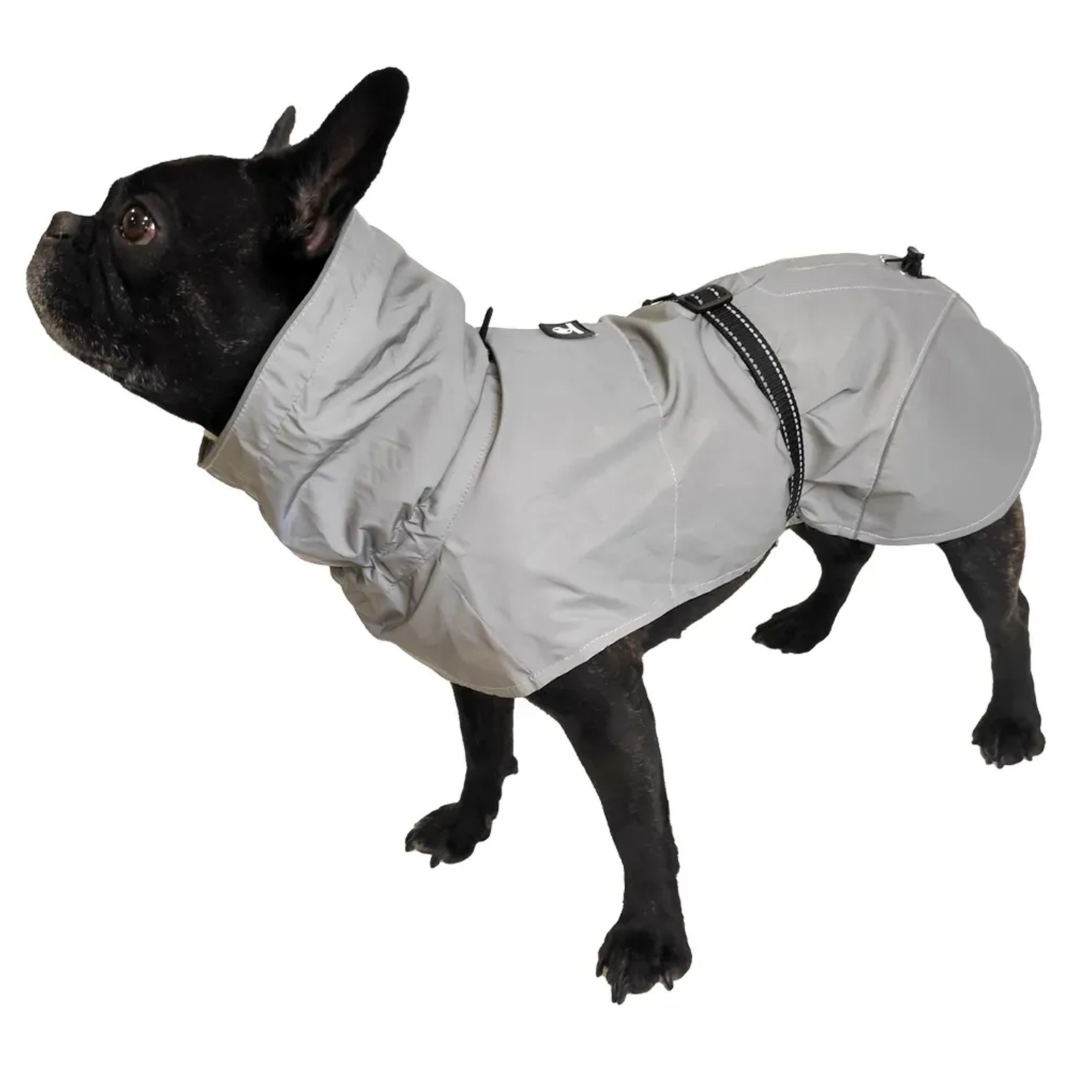 Cappotto grigio per cani t.b.t. per cani di piccola taglia. Abbigliamento impermeabile per cani.