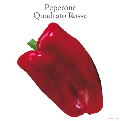 Peperone quadrato allungato rosso vaschetta 4 pz