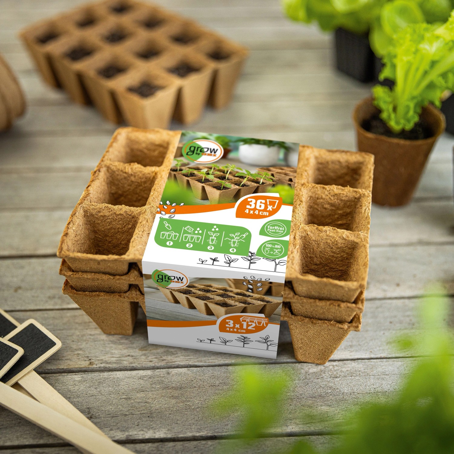 Vaso angolare per germogli 4x4 cm 36 pz_4