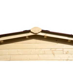 Casetta da giardino in legno sp 20 mm H197xL310xP188 cm