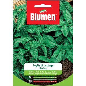 Confezione di semi di basilico 'Foglia di Lattuga' per l'orto.