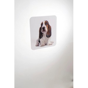 Accessorio da parete t.b.t. con motivo cucciolo Basset per contenitori a parete.