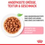 Royal Canin Kitten cibo umido in salsa, cibo per gatti per gattini su un piatto.