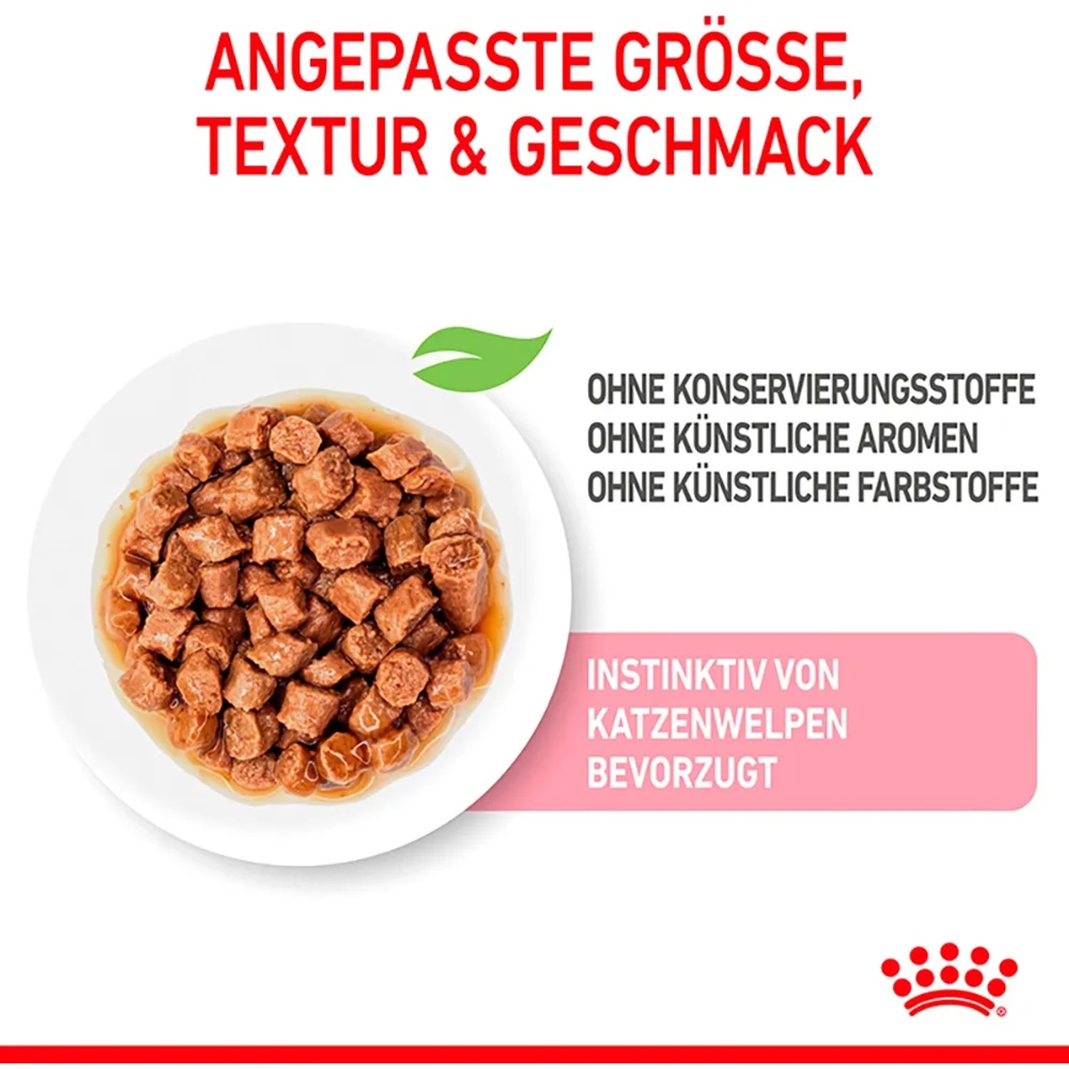 Royal Canin Kitten cibo umido in salsa, cibo per gatti per gattini su un piatto.