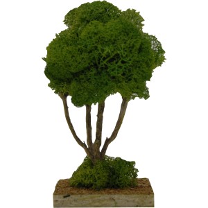 Primo piano di un piccolo albero verde per un presepe.