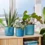 Tre vasi da fiori Elho Ocean Collection blu atlantico (Ø 16 cm) con piante su un tavolo davanti a una finestra.