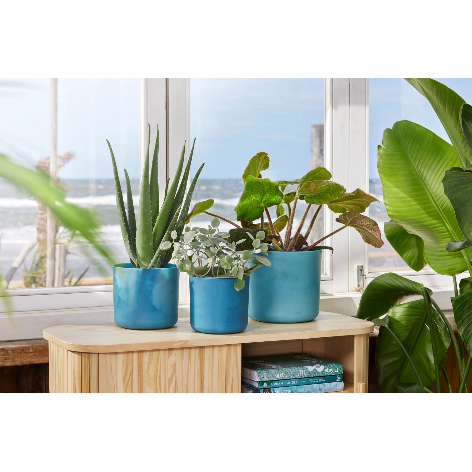 Tre vasi da fiori Elho Ocean Collection blu atlantico (Ø 16 cm) con piante su un tavolo davanti a una finestra.