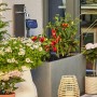 Sistema Gardena Micro-Drip per irrigazione a goccia di piante da terrazzo, con unità base e gocciolatori.