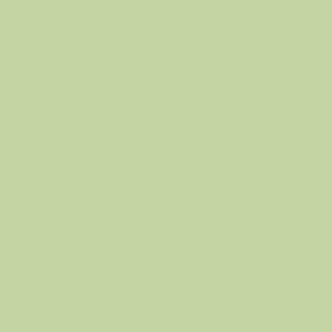 Pittura home color superlavabile igienizzante avocado 0,75 l