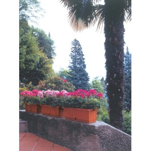 Cassetta Itaca con sottocassetta 50x20x17 cm in plastica terracotta