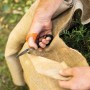 Primo piano: mano taglia rami in sacco di iuta con attrezzo t.b.t.. Categoria: Attrezzi per il taglio.