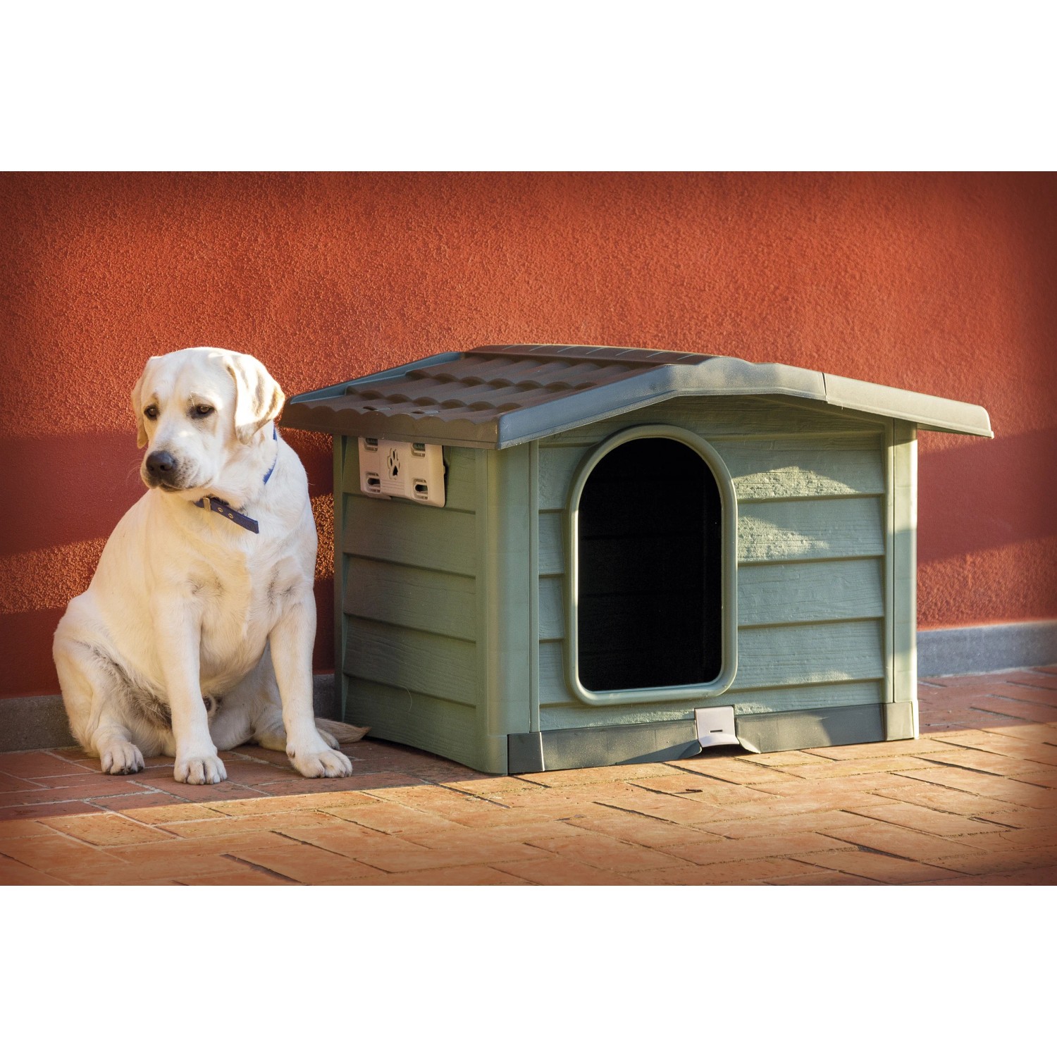 Labrador chiaro seduto davanti a una cuccia verde della categoria Cucce per cani.
