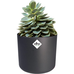 Vaso per fiori Elho B.For Soft Round, Ø 24,7 cm, antracite con succulenta.