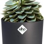 Vaso per fiori Elho B.For Soft Round, Ø 24,7 cm, antracite con succulenta.