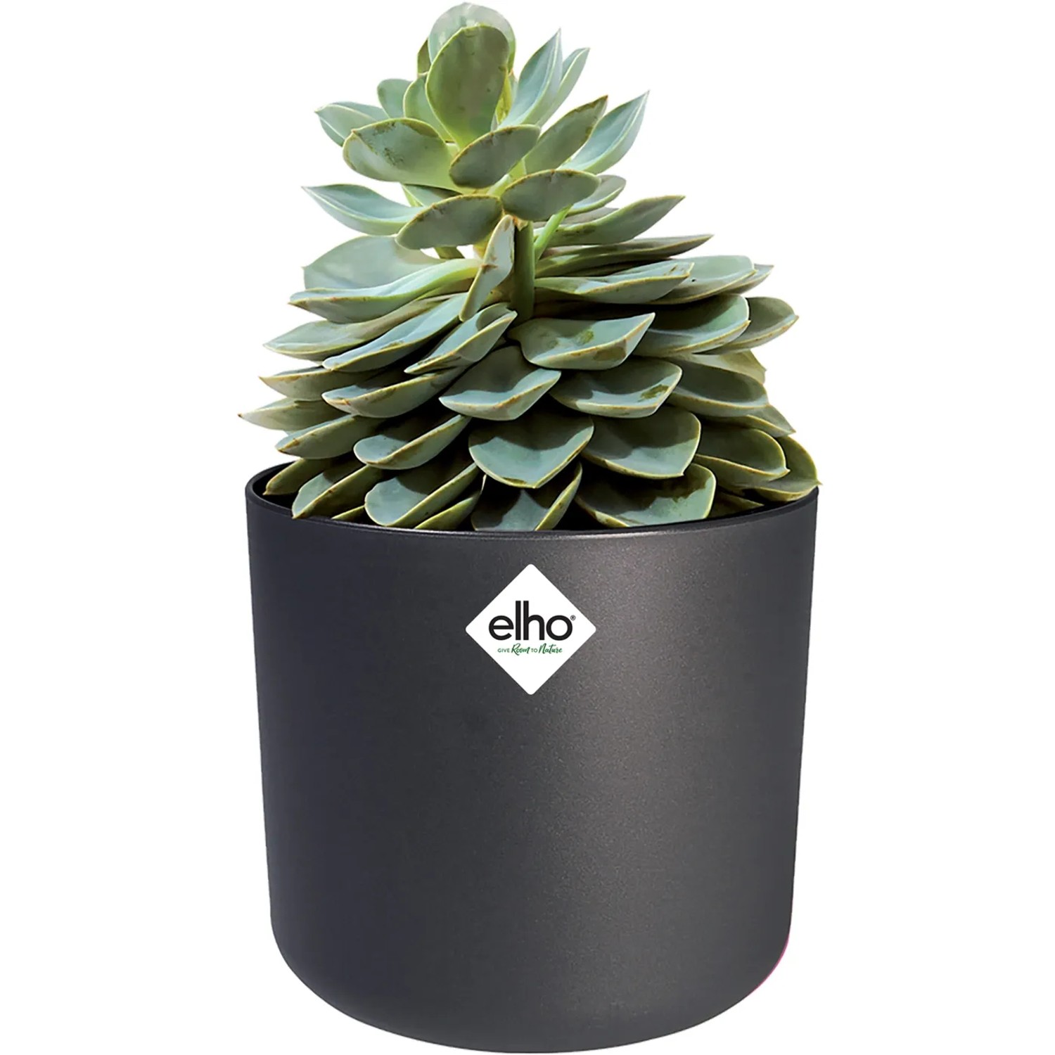 Vaso per fiori Elho B.For Soft Round, Ø 24,7 cm, antracite con succulenta.