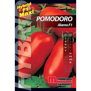 Confezione di semi Pomodoro Alamo F1, varietà ibrida di pomodoro per l'orto.