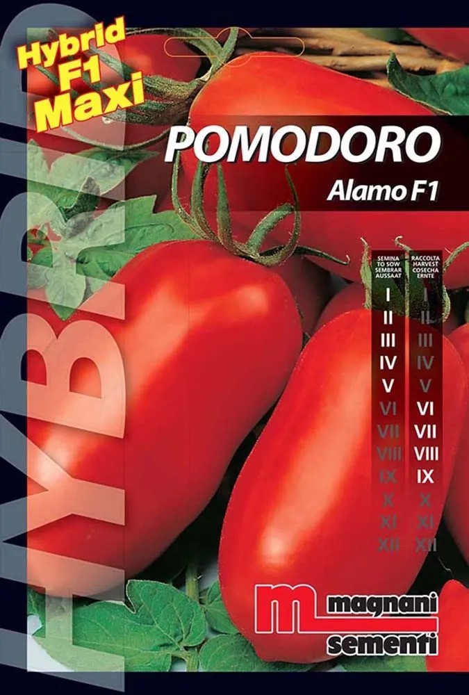 Ibridi Di Pomodoro F1: Cos'&egrave;, Qual &egrave; La Differenza Rispetto Alle