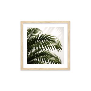 Stampa incorniciata 25x25 cm set piante - palm