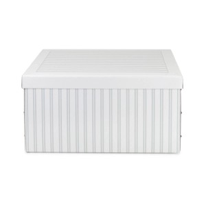 Baulotto con coperchio Compactor Anton bianco grigio 50x40x25 cm