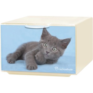 Contenitore t.b.t. con motivo gatto. Scatola portaoggetti per bambini.