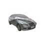 Auto con copertura antigelo t.b.t., colore argento.