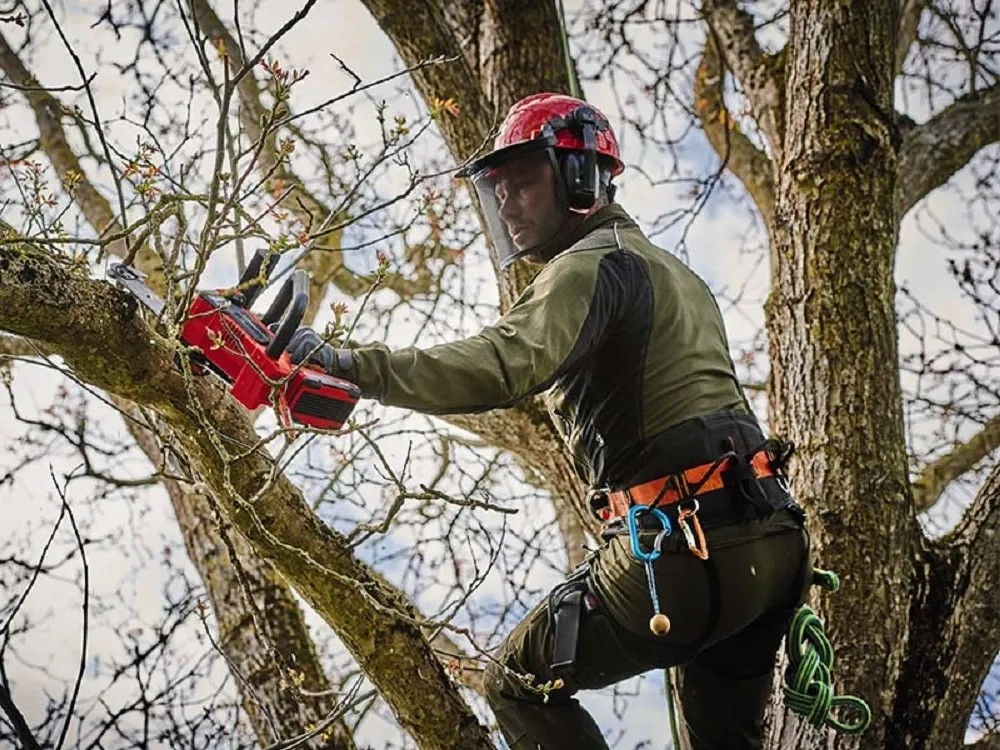 Motosega Da Potatura Einhell FORTEXXA 18/20 TH - A Batteria, Senza Spazzole, Con Barra E Catena Oregon - Foto 4