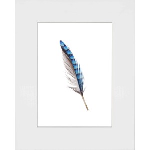 Cornice bianca con piuma grigio-blu come motivo decorativo da parete.