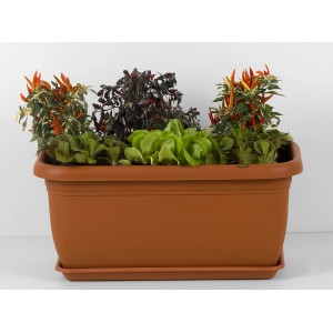Fioriera XL Unica, 100x43 cm, terracotta, piantata con lattuga e piante ornamentali.