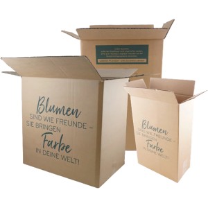 Scatole di spedizione per garofani perenni e piante da balcone con stampa "I fiori sono come amici"