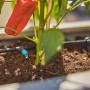 Set irrigazione a goccia Gardena: dettaglio di gocciolatore e pianta sul terrazzo.
