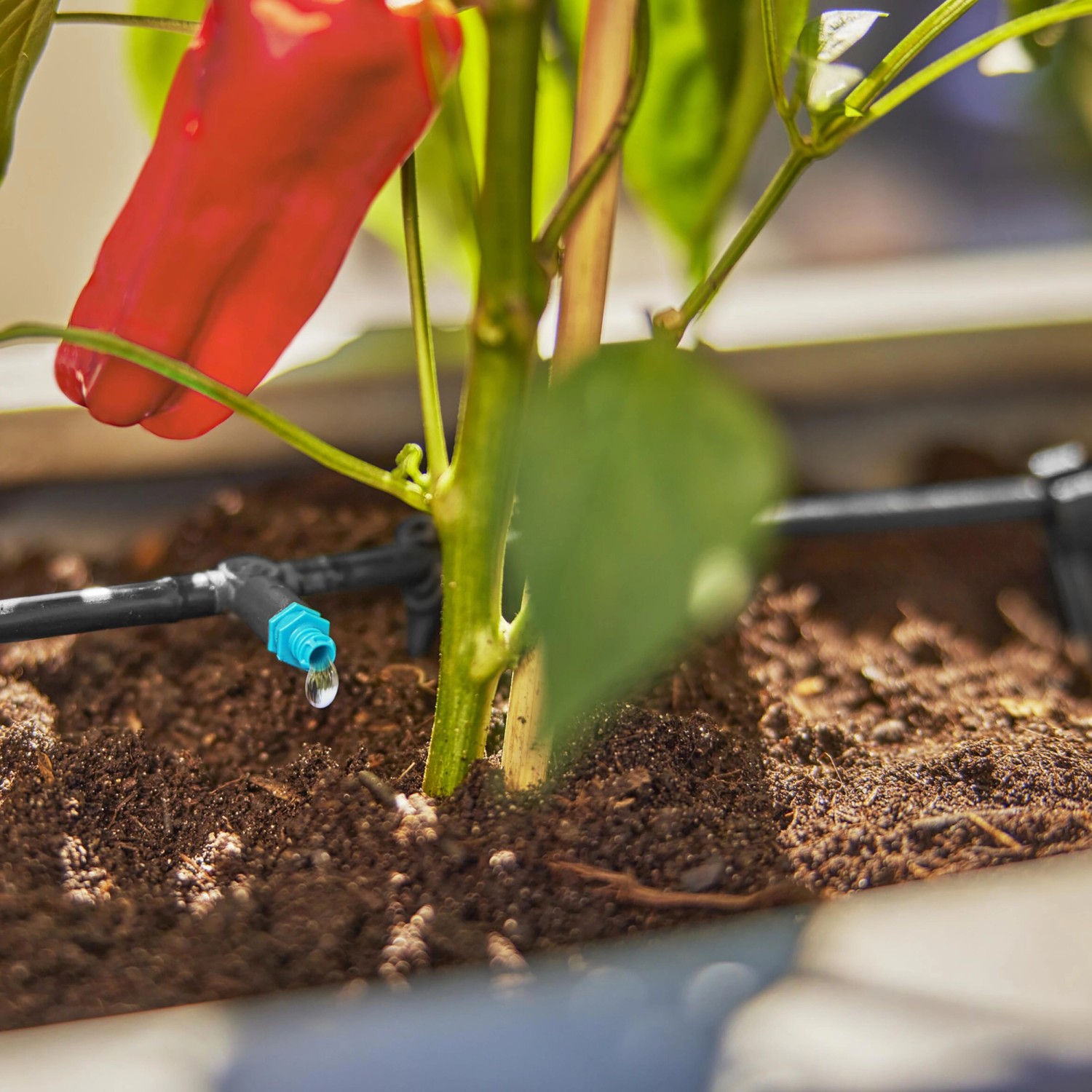 Set irrigazione a goccia Gardena: dettaglio di gocciolatore e pianta sul terrazzo.