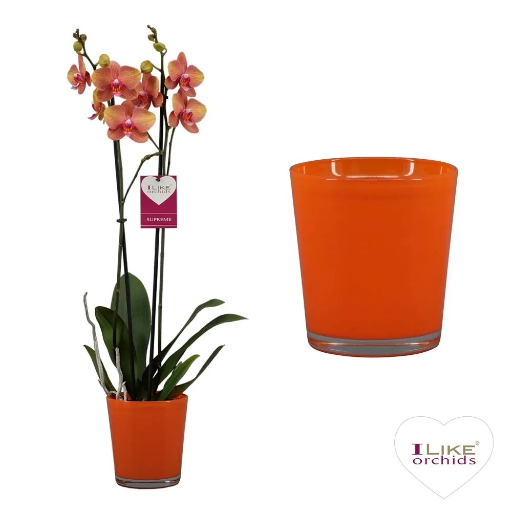 3 pezzi Vaso di plastica, Vasi Infrangibili per Fiori Vaso per