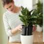 Sistema autoirrigante Elho, Ø 17cm, nero, con pianta in vaso bianco.