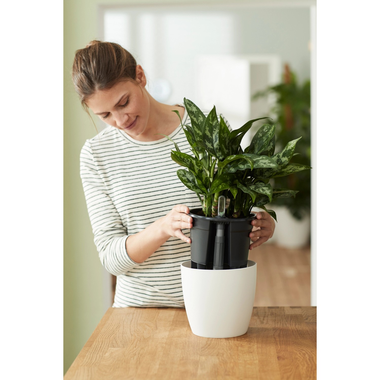 Sistema autoirrigante Elho, Ø 17cm, nero, con pianta in vaso bianco.
