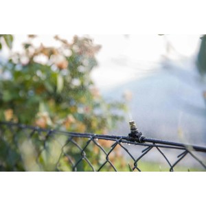 t.b.t. Microirrigazione ugello di irrigazione su recinzione, spruzza acqua.