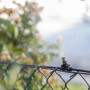 t.b.t. Microirrigazione ugello di irrigazione su recinzione, spruzza acqua.