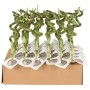 Lucky Bamboo Spirale In Tube Vaso 5 cm