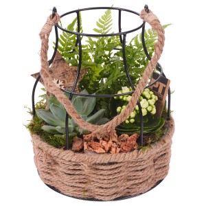 t.b.t. Composizione di piante in cesto di metallo con manico in corda, succulenta, felce e decorazioni.