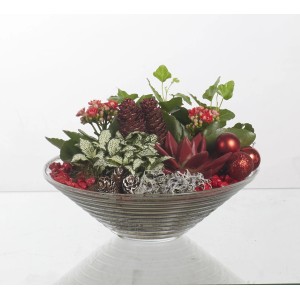 Composizione di piante decorative in ciotola di vetro con succulenta, pigne e palline rosse.