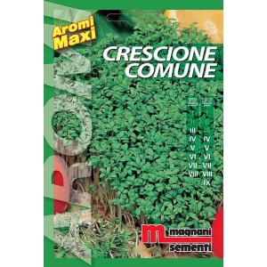 Confezione di semi di crescione (t.b.t.) per la coltivazione nell'orto.