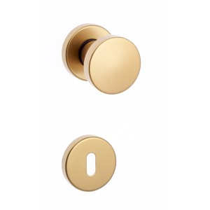 Maniglie per porte interne dorate, rosetta inclusa.