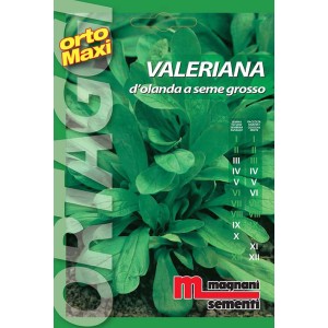 Confezione di semi di valeriana 'Valeriana' per la coltivazione di ortaggi in giardino.