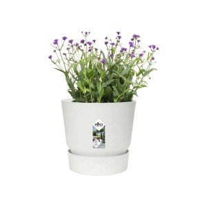 Vaso per piante Elho bianco con pianta fiorita viola, ideale per casa e giardino.
