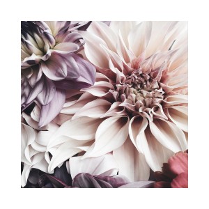 Primo piano di Quadri t.b.t. con delicati fiori color lilla e crema.