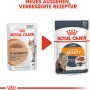Royal Canin Hair & Skin Care cibo umido per gatti in salsa, busta da 85g per pelo sano.