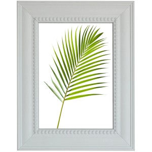 Cornice bianca t.b.t. con motivo a foglia di palma per decorazione murale.