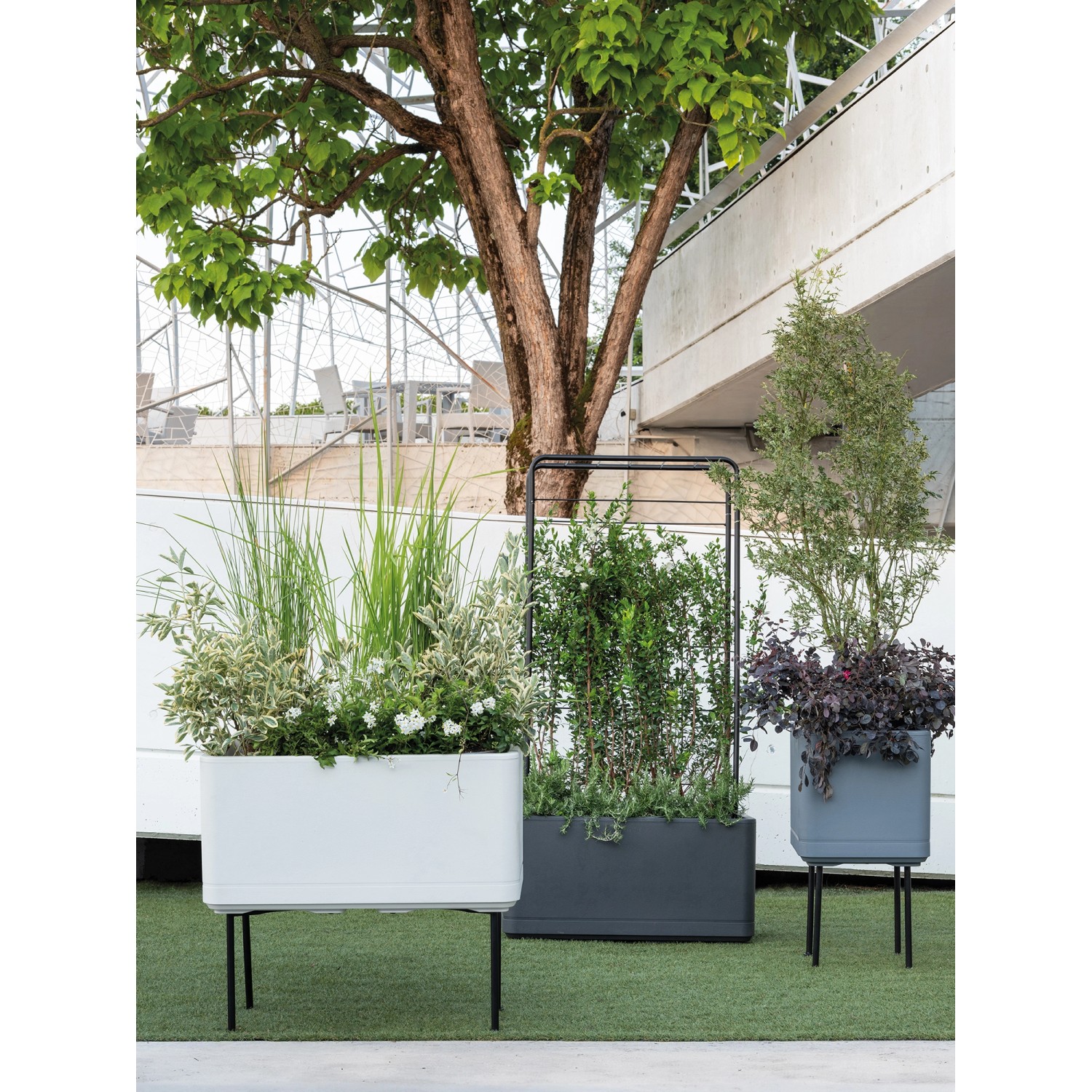 Deroma grigliato per fioriera Cosmo, nero, alto 155 cm, per piante rampicanti.